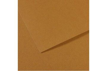 Canson Fon Kartonu (Dokulu) Mı-Teıntes 25 Lİ 50x65 160 GR 336 Cachou 200321034