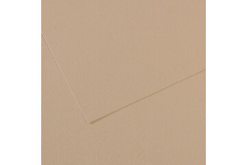Canson Fon Kartonu (Dokulu) Mı-Teıntes 50x65 160 GR GREY 343