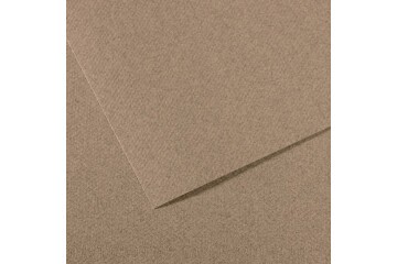 Canson Fon Kartonu (Dokulu) Mı-Teıntes 50x65 160 GR Grey 431