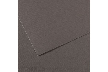 Canson Fon Kartonu (Dokulu) Mı-Teıntes Sh Canmt 50x65 160 GR Grey 345