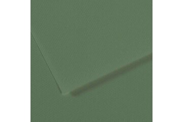 Canson Fon Kartonu (Dokulu) Mı-Teıntes Sh Canmt 50x65 160 GR Grn 190
