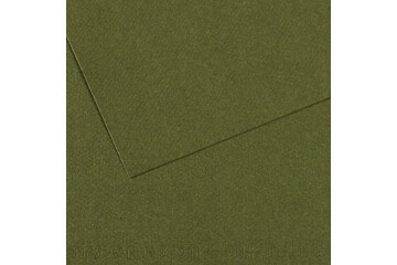 Canson Fon Kartonu (Dokulu) Mı-Teıntes Sh Canmt 50x65 160 GR Grn 448