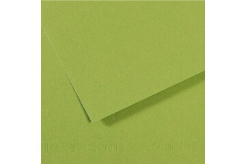 Canson Fon Kartonu (Dokulu) Mı-Teıntes Sh Canmt 50x65 160 GR Grn 475