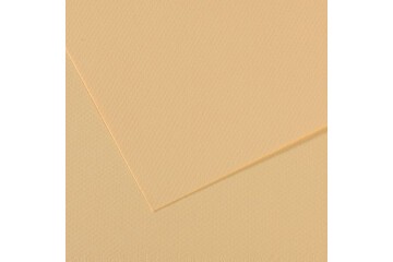 Canson Fon Kartonu (Dokulu) Mı-Teıntes Sh Canmt 50x65 160 GR Ylw 407