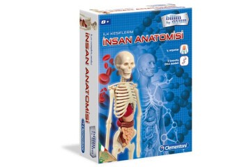 Clementoni İlk Keşiflerim (İnsan Anatomisi) 64297
