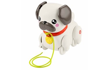 Fisher Price Minik Dostumla Yürüyüş Mtl-htw94
