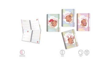 Gıpta Capybara Plan Spiralli Sep.Sert Kapak Def.A5 120 YP Planner