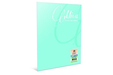 Gıpta Defter (Dikişli ) Mica Plastik Kapak Çizgili 100 YP A4 2488
