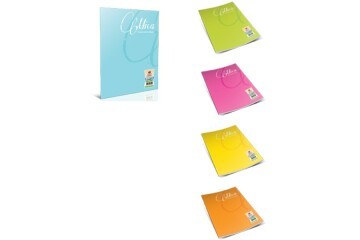 Gıpta Defter (Dikişli ) Mica Plastik Kapak Çizgisiz 60 YP A4 1706