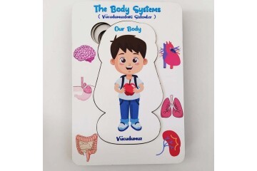 Moon Beavers Vücudumuz Sistemleri Erkek Ahşap Eğitici Oyun