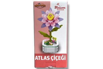 Oceanfour 103 C5 Atlas Çiçek Blok oyuncak