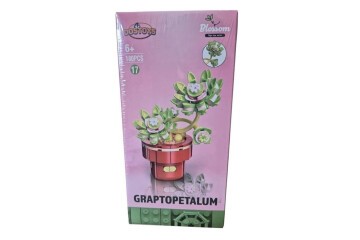 Oceanfour 113-17-24-2 Graptopetalum Çiçek Lego