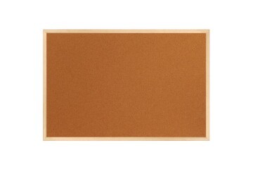 Panda Mantar Pano Ahşap Çerçeveli 60x90 PAN116