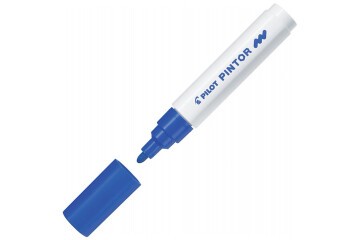 Pilot Pintor (M) Mavi Sw-pt-m-bl