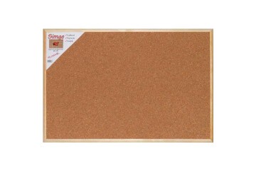 Simge Mantar Pano 45x60 0136