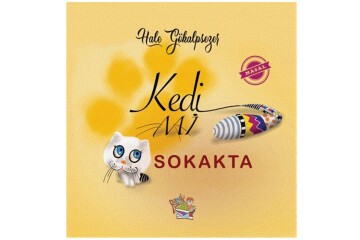 YYG Kedi Mi Sokakta Parmak Çocuk Yayınları
