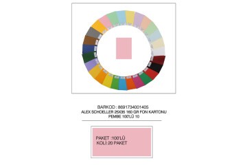 Alex Schoeller Fon Kartonu 160 GR 25x35 No:10 Pembe 100 Lü