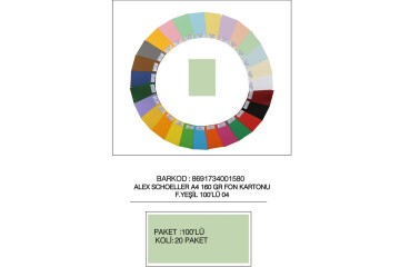 Alex Schoeller Fon Kartonu 160 GR A4 04 Fıs Yeşili