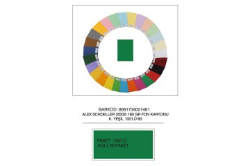Alex Schoeller Fon Kartonu 25x35 No:60 K.Yeşil 100 Lü