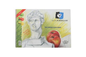 Alex Schoeller Resim Defteri Spiralli 15 YP 35x50 120 GR 833