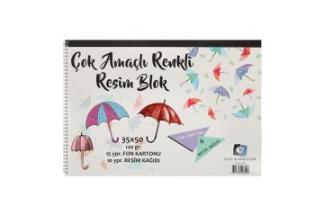 Alex Schoeller Resim Defteri Spiralli Çok Amaçlı 15 YP 35x50 120 GR ALX-0299
