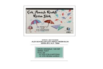 Alex Schoeller Resim Kağıdı+ Fon Karton Spiralli 25 YP 25x35 120 GR ALx-0589