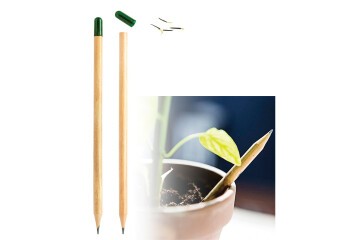 Tohumlu Kurşun Kalem